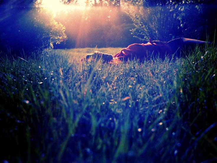Analog photography