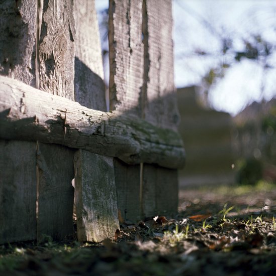 Analog photography