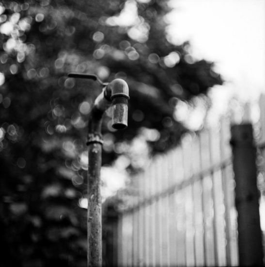 Analog photography