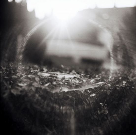 Analog photography