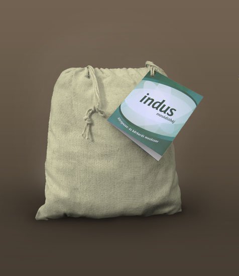Indus washingnut booklet